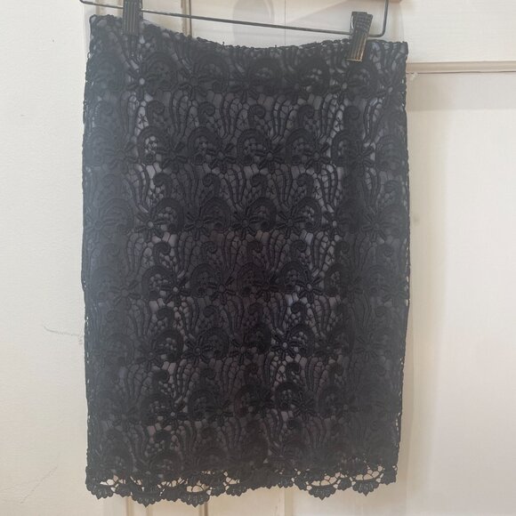 Ann Taylor Skirt Size 0, Lace Over Silver Lining - Picture 2 of 7